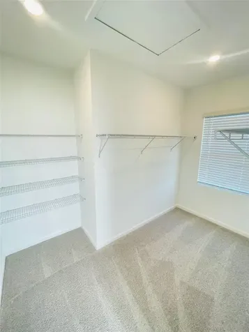 7333 Ivy Tendril Avenue Orlando FL 32829