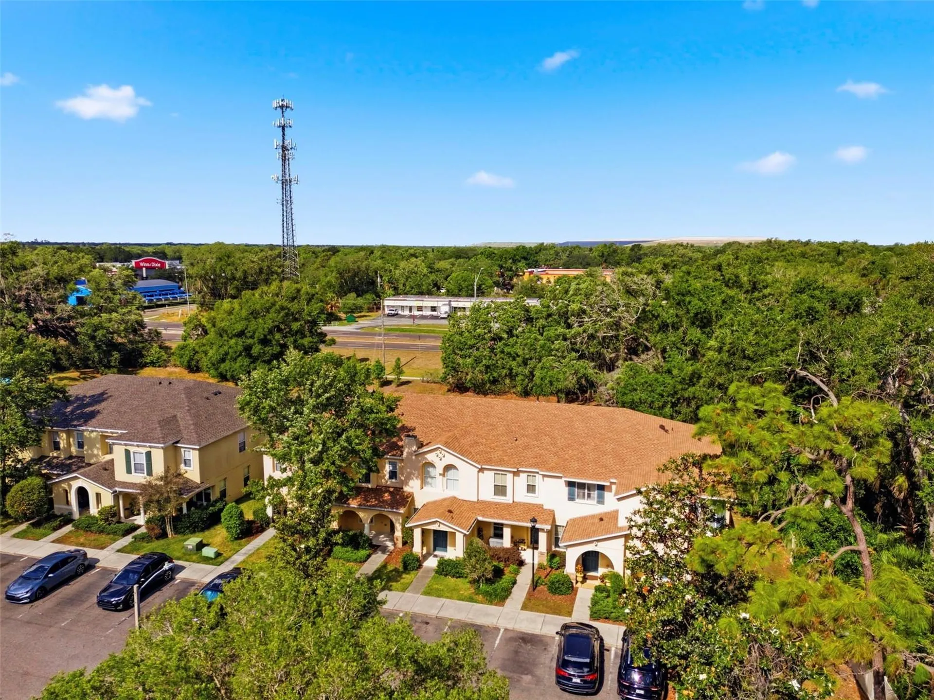 6811 Dartmouth Hill Street Riverview FL 33578