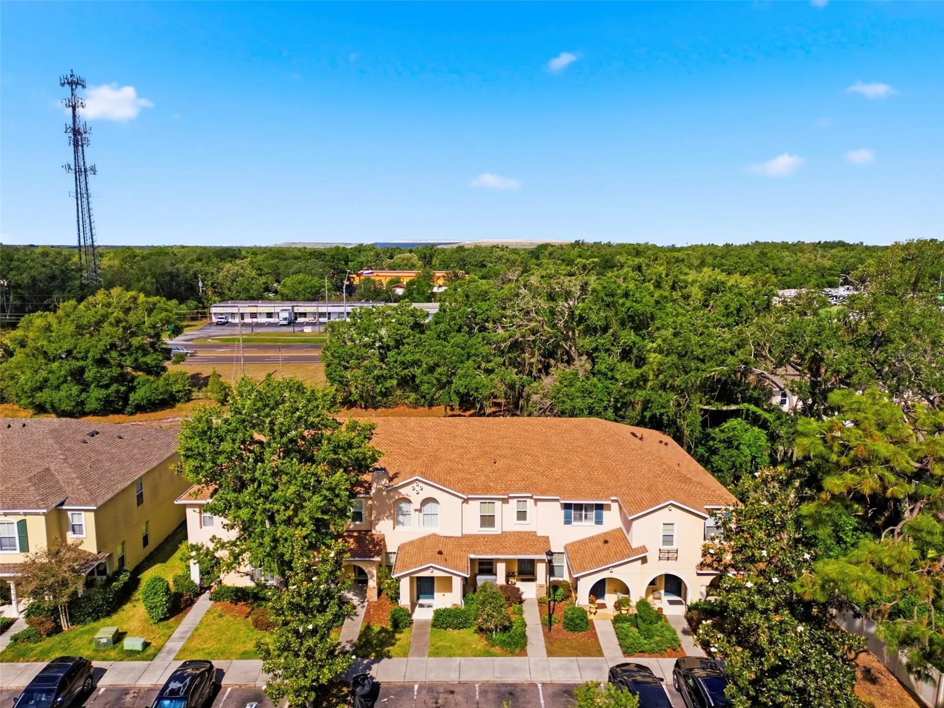 6811 Dartmouth Hill Street Riverview FL 33578