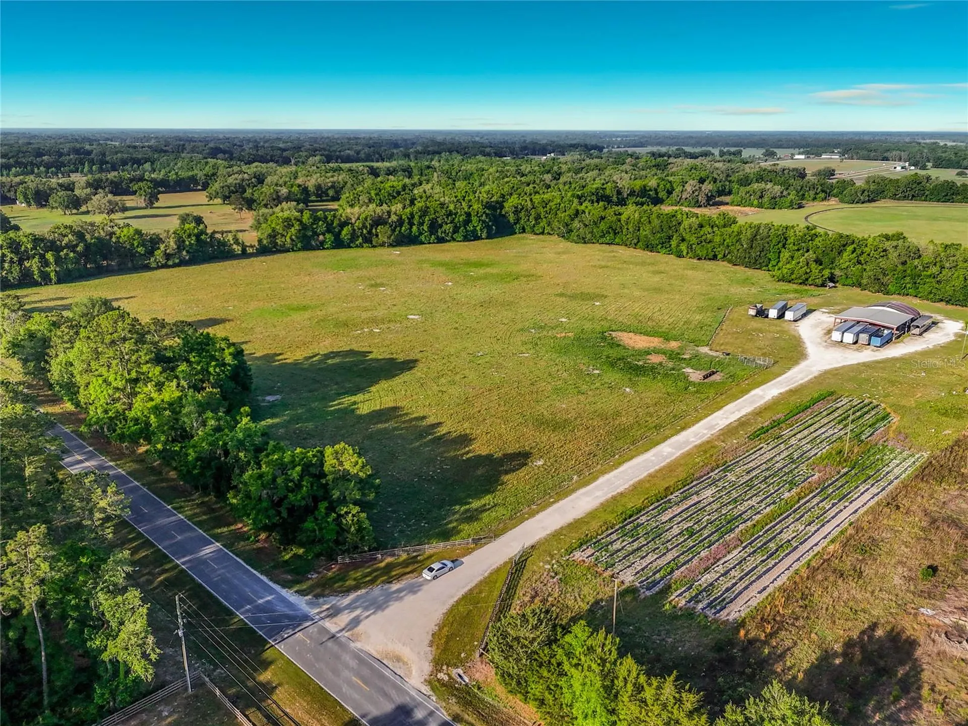 Tbd NE 195th Avenue Williston FL 32696