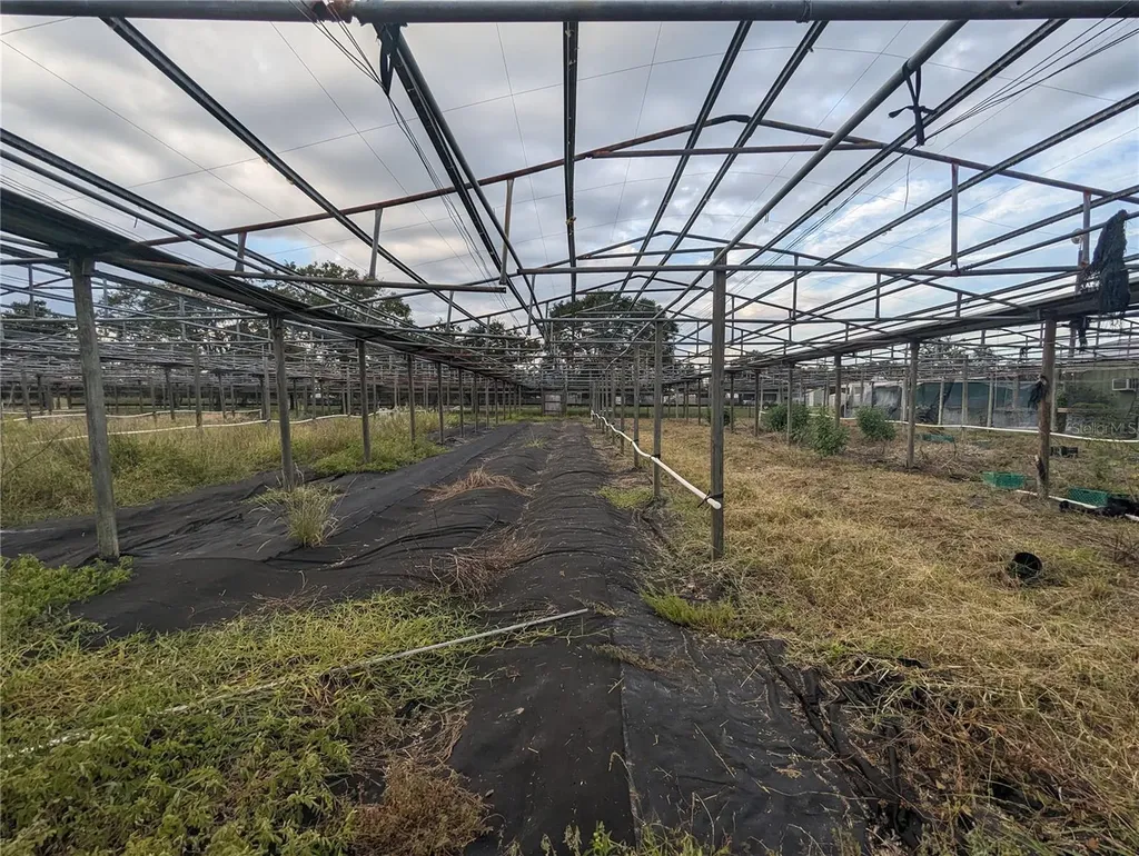 16070 Carlton Lake Road Wimauma FL 33598