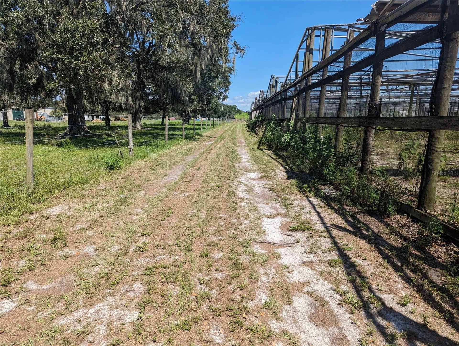 16070 Carlton Lake Road Wimauma FL 33598