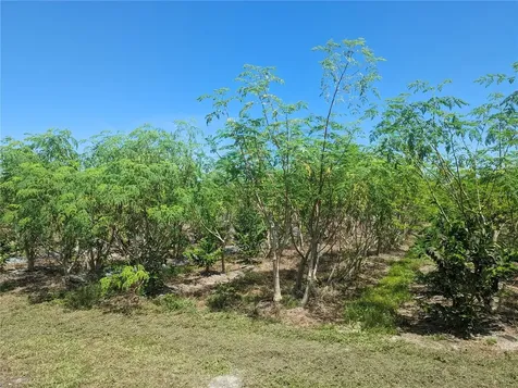 16070 Carlton Lake Road Wimauma FL 33598