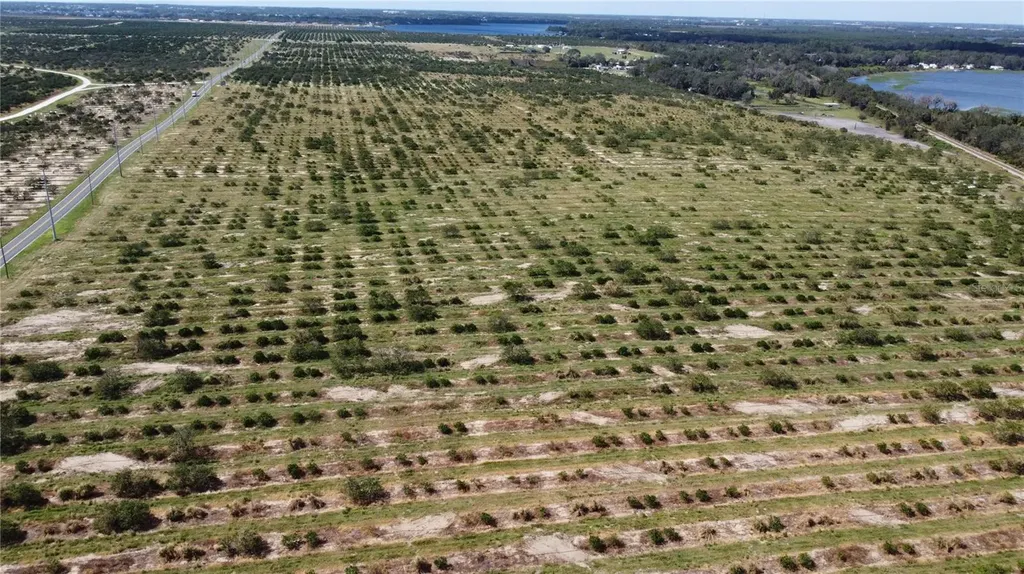3162 Power Line Road Avon Park FL 33825