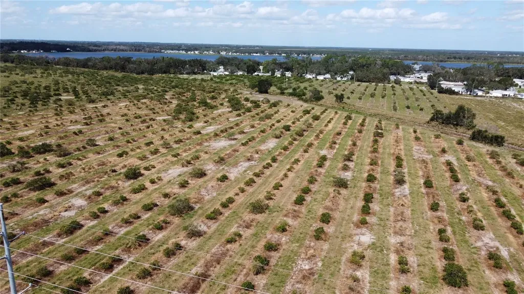 3162 Power Line Road Avon Park FL 33825