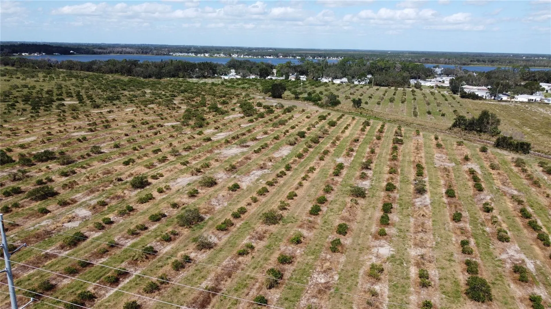 3162 Power Line Road Avon Park FL 33825