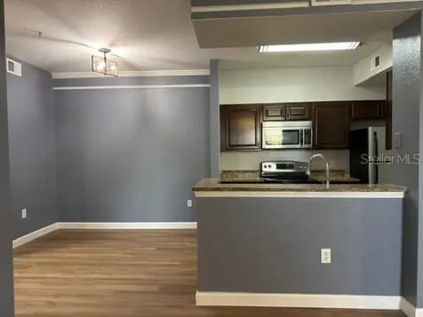 17101 Carrington Park Drive Tampa FL 33647