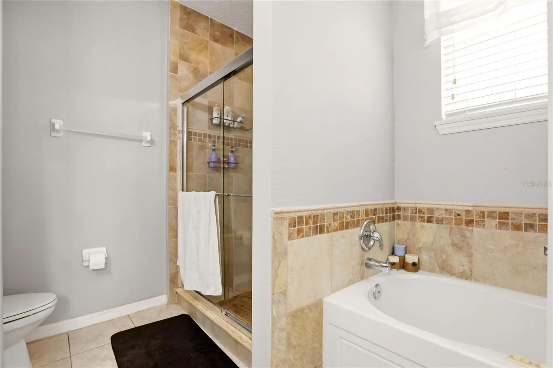 1550 Madison Ivy Circle Apopka FL 32712