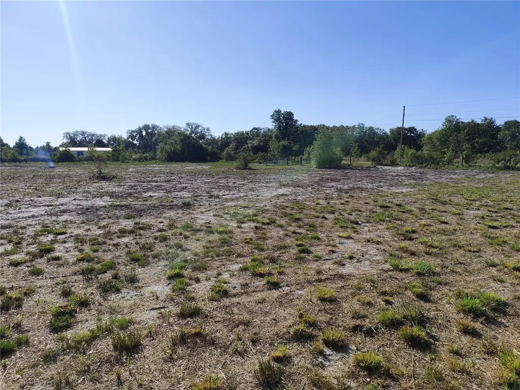 4535 Sarver Avenue Lake Wales FL 33859