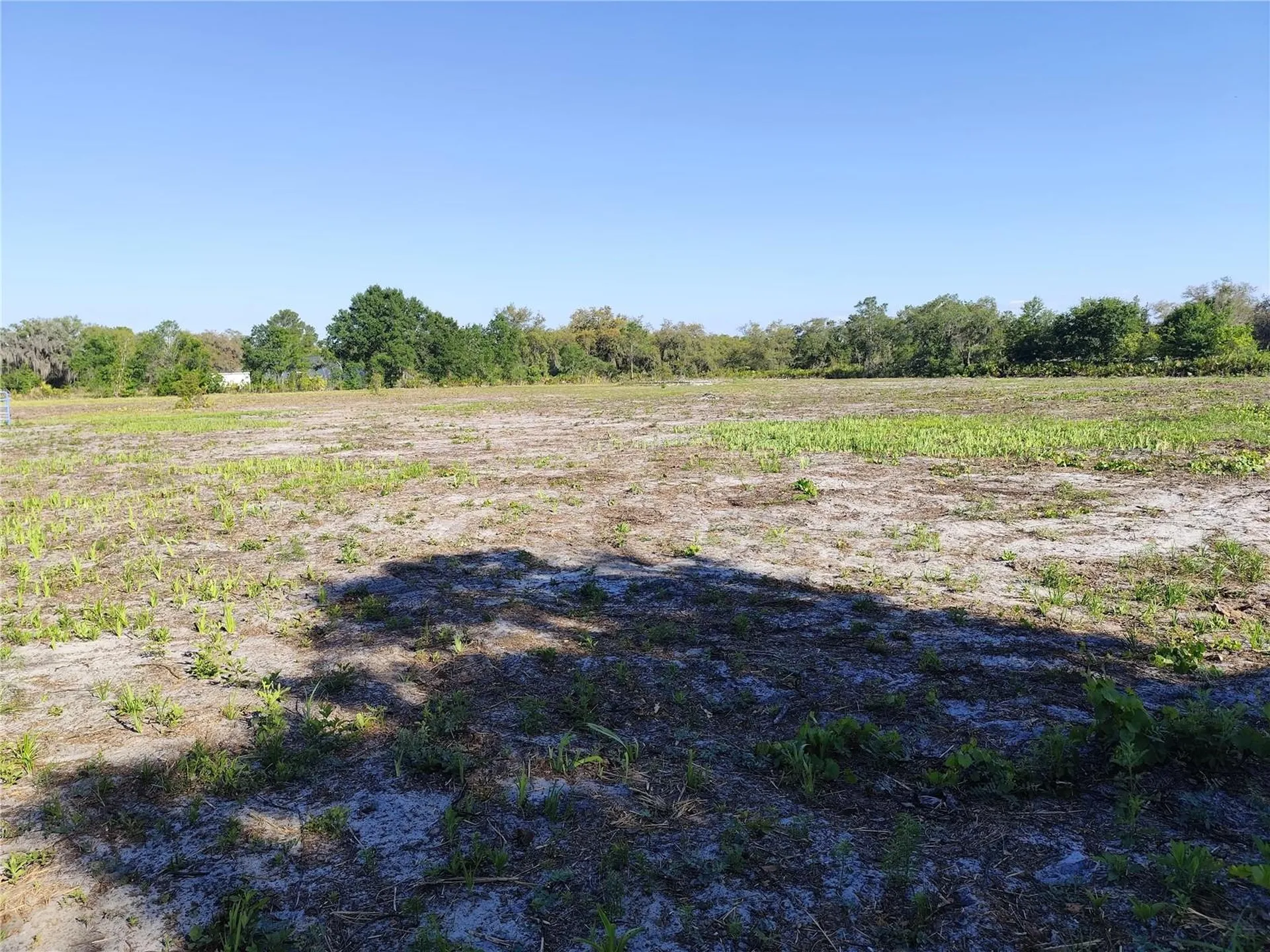 4535 Sarver Avenue Lake Wales FL 33859
