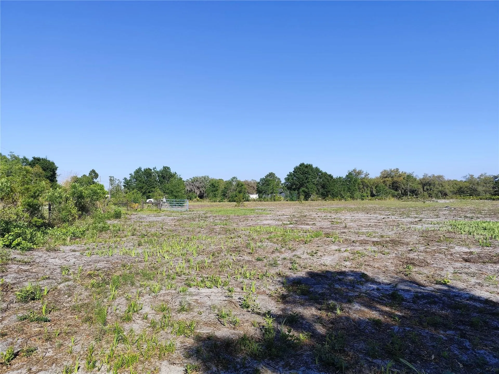4535 Sarver Avenue Lake Wales FL 33859
