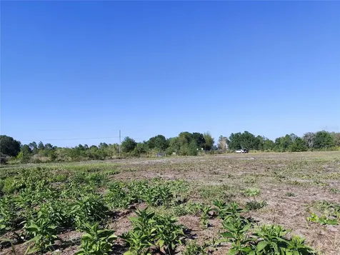 4535 Sarver Avenue Lake Wales FL 33859