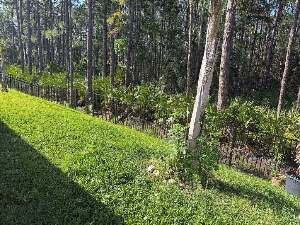 1339 Morning Walk Drive Ormond Beach FL 32174