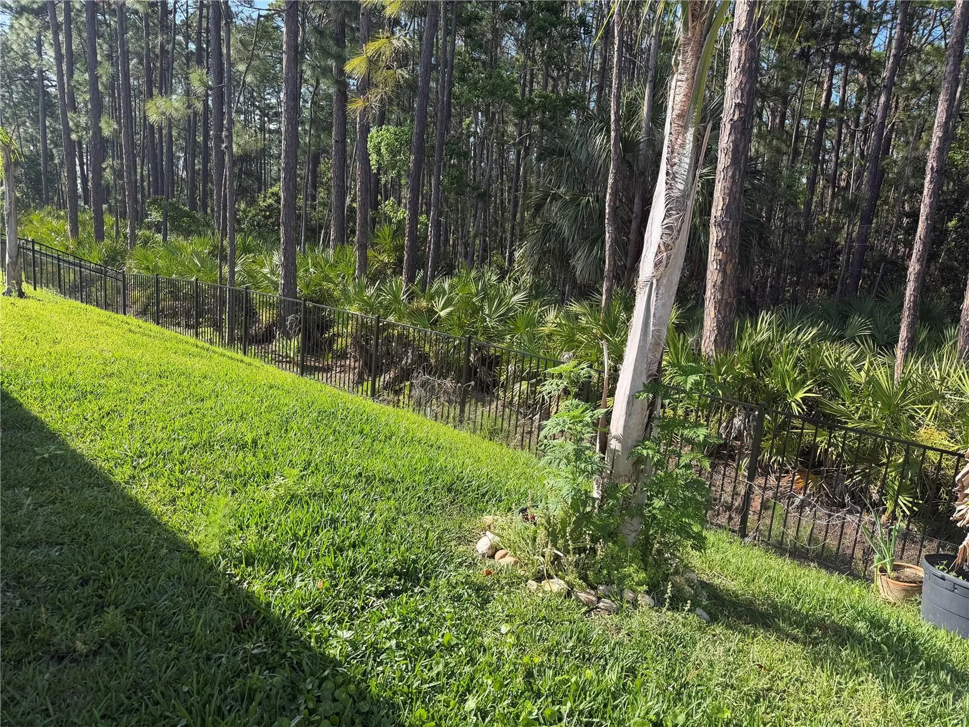 1339 Morning Walk Drive Ormond Beach FL 32174