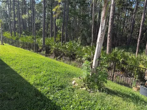 1339 Morning Walk Drive Ormond Beach FL 32174