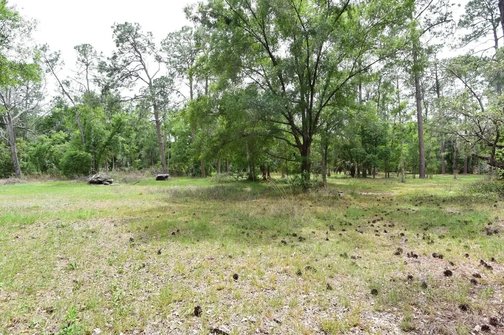 6832 Quail Hollow Boulevard Wesley Chapel FL 33544