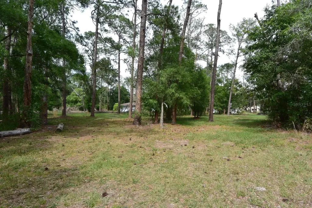 6832 Quail Hollow Boulevard Wesley Chapel FL 33544