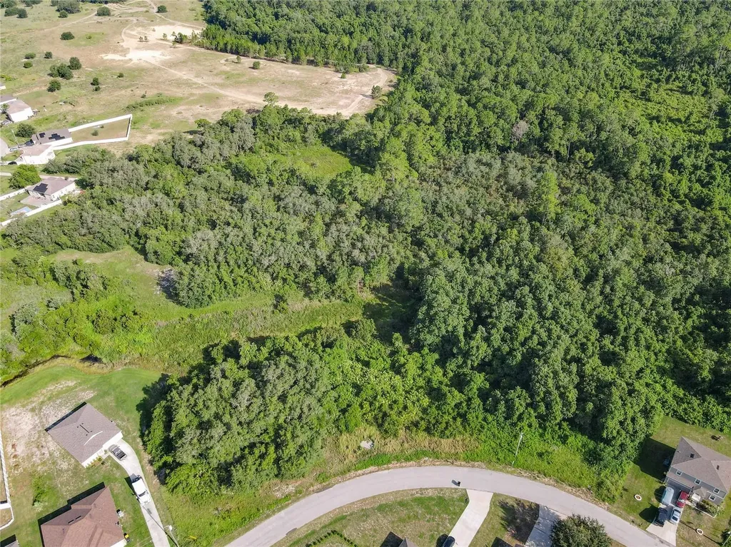 0 Hudson Valley Drive Kissimmee FL 34759