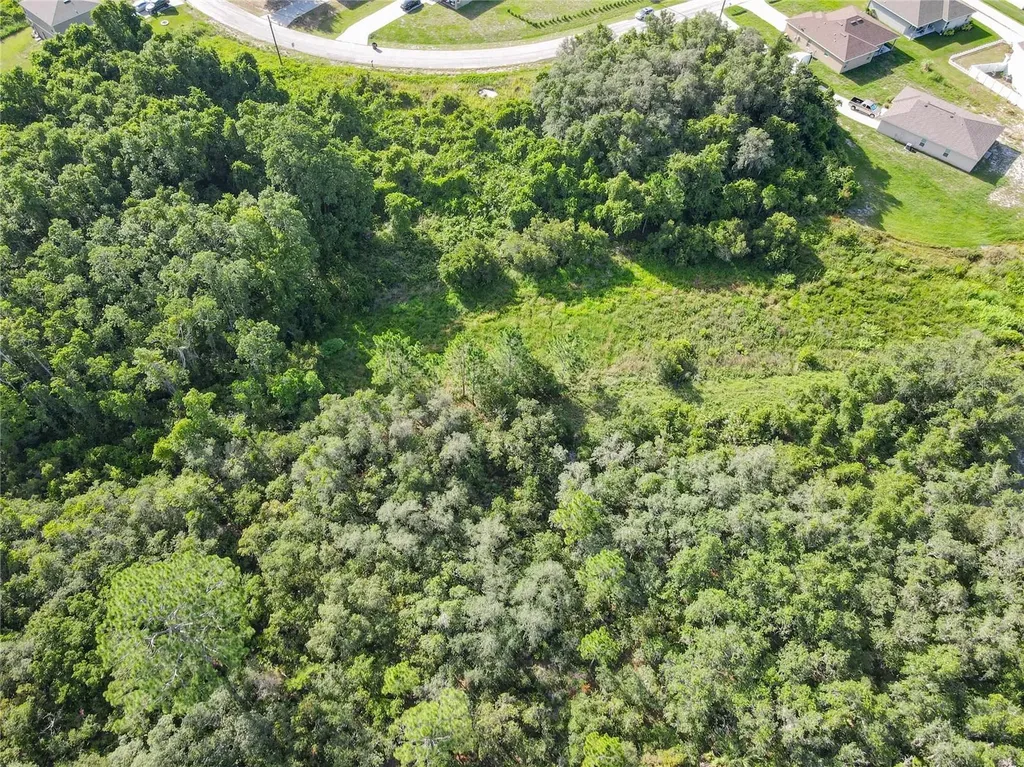 0 Hudson Valley Drive Kissimmee FL 34759