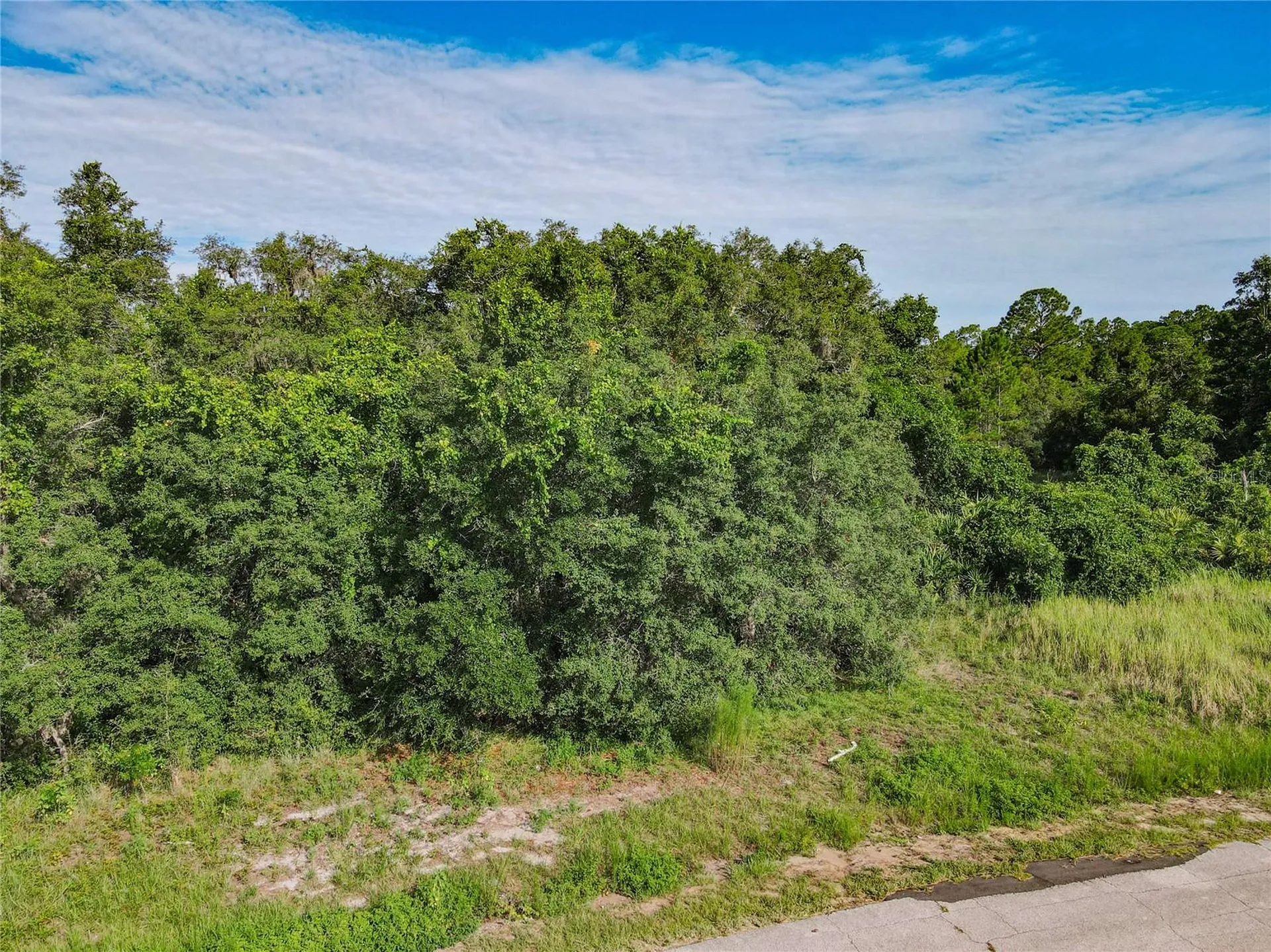 0 Hudson Valley Drive Kissimmee FL 34759