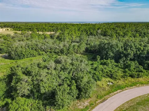 0 Hudson Valley Drive Kissimmee FL 34759