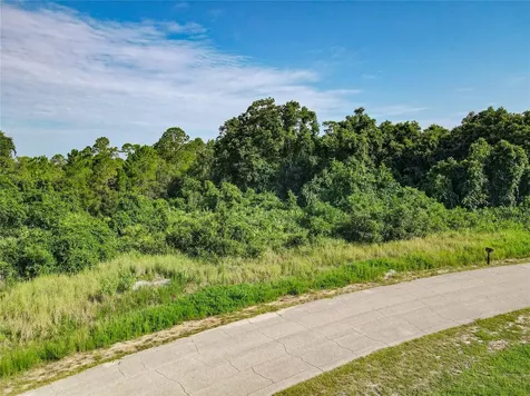 0 Hudson Valley Drive Kissimmee FL 34759