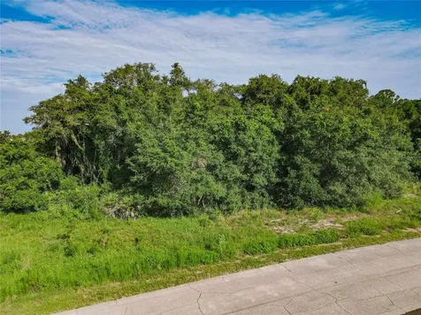 0 Hudson Valley Drive Kissimmee FL 34759