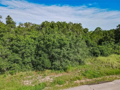 0 Hudson Valley Drive Kissimmee FL 34759