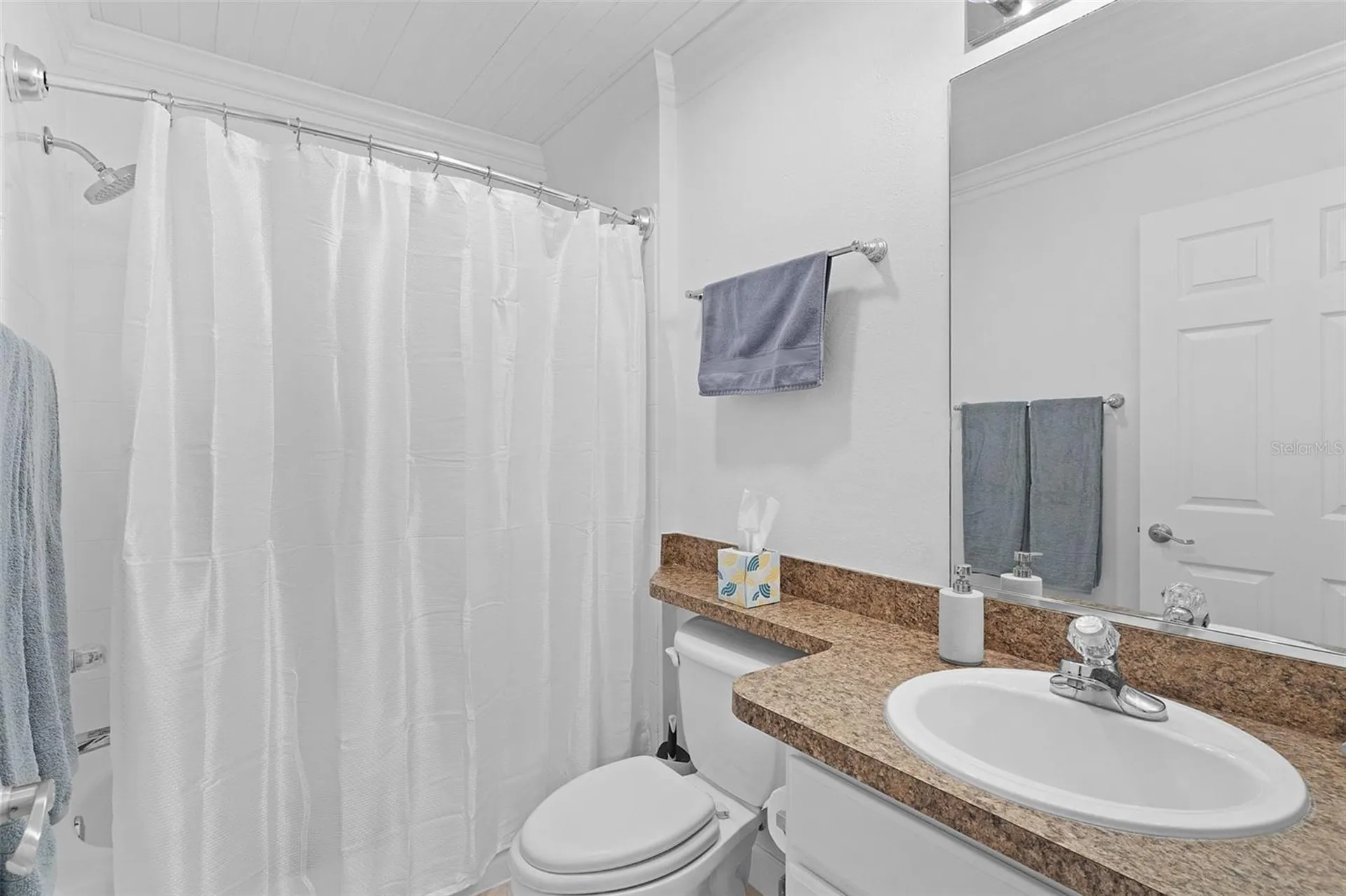 17107 SE 93rd Exeter Court The Villages FL 32162