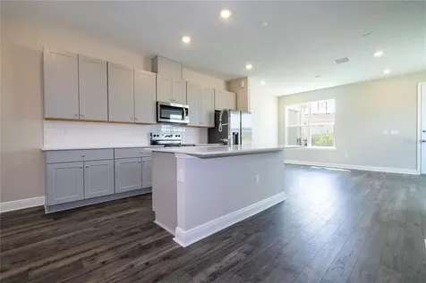 16350 Hamlin View Street Winter Garden FL 34787