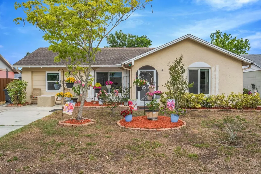 3538 Monte Rio Street New Port Richey FL 34655