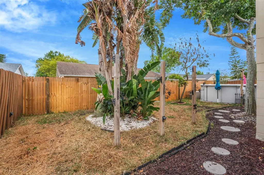 3538 Monte Rio Street New Port Richey FL 34655
