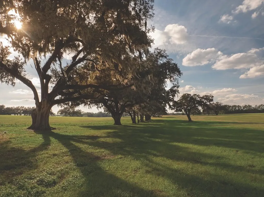 Tbd NW Gainesville Road Reddick FL 32686