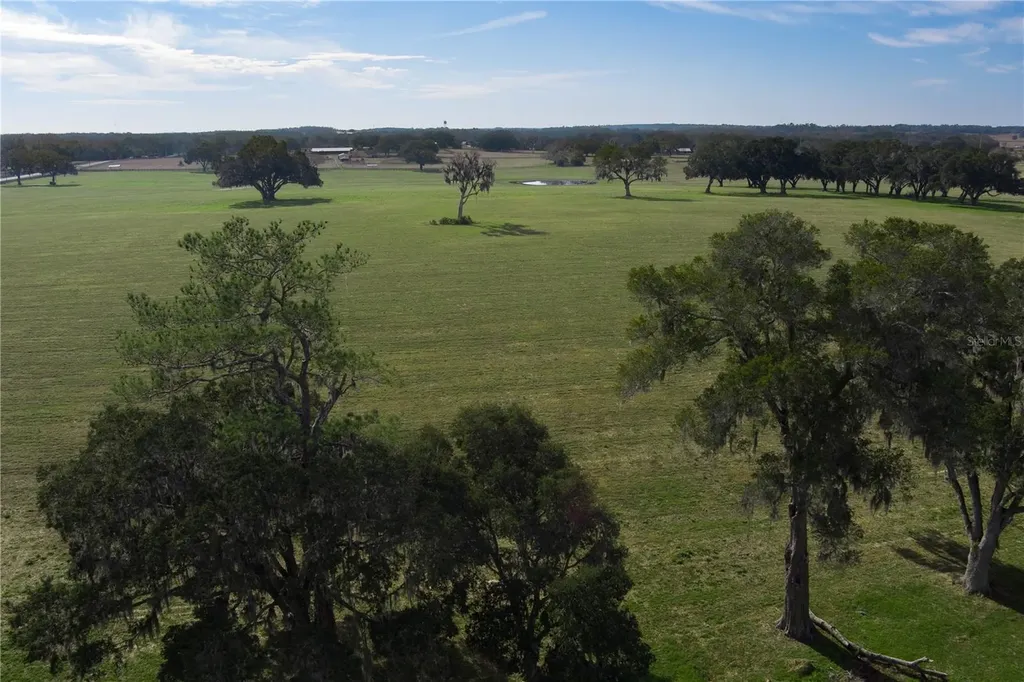 Tbd NW Gainesville Road Reddick FL 32686
