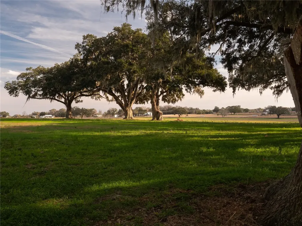 Tbd NW Gainesville Road Reddick FL 32686