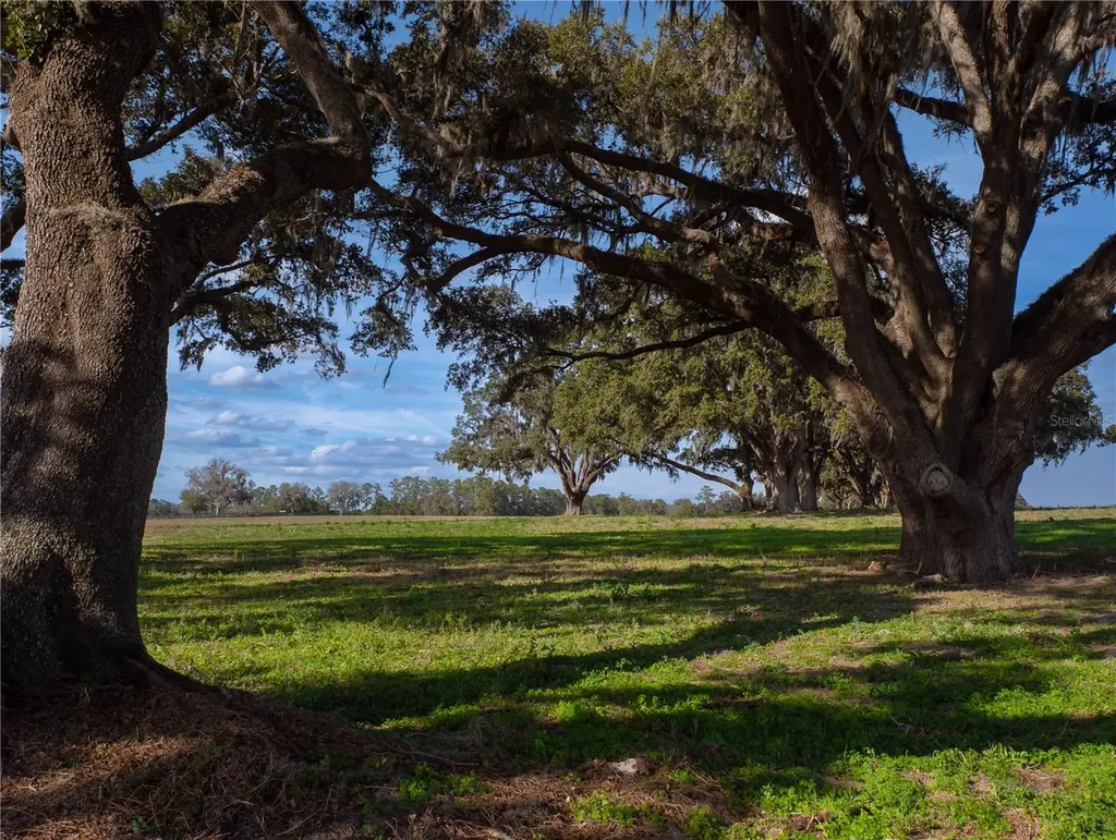 Tbd NW Gainesville Road Reddick FL 32686