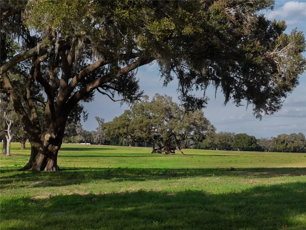 Tbd NW Gainesville Road Reddick FL 32686