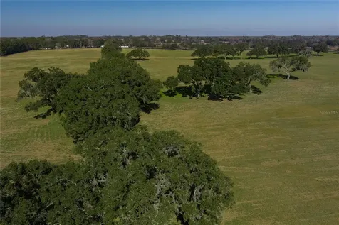 Tbd NW Gainesville Road Reddick FL 32686