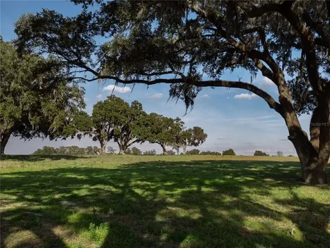 Tbd NW Gainesville Road Reddick FL 32686
