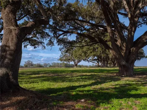 Tbd NW Gainesville Road Reddick FL 32686