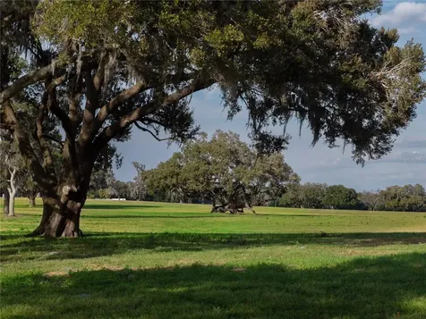 Tbd NW Gainesville Road Reddick FL 32686
