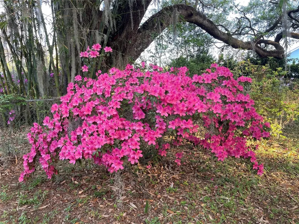 825 SE 13th Street Ocala FL 34471