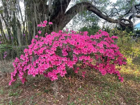 825 SE 13th Street Ocala FL 34471