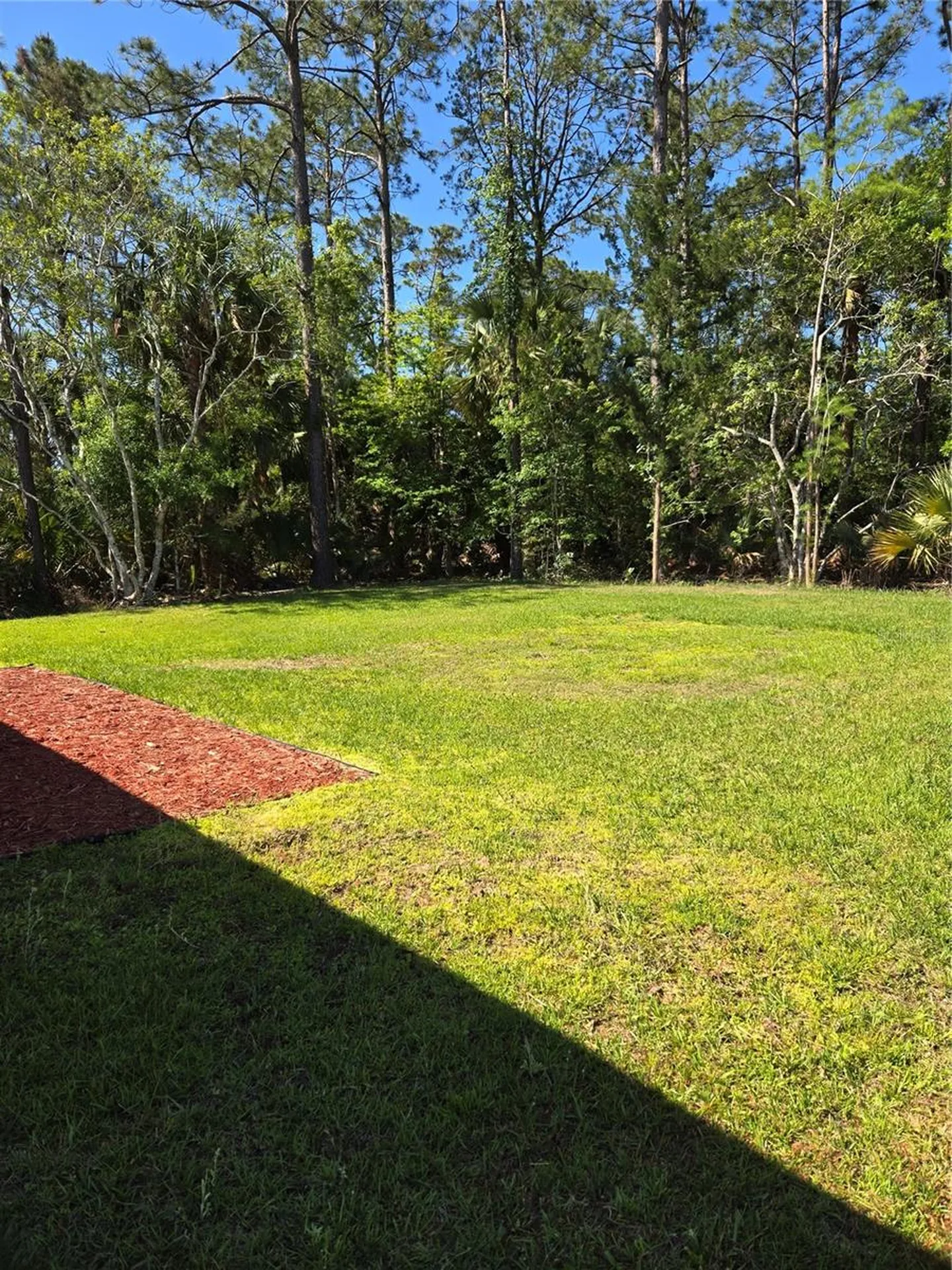 31 Palm Leaf Lane Palm Coast FL 32164