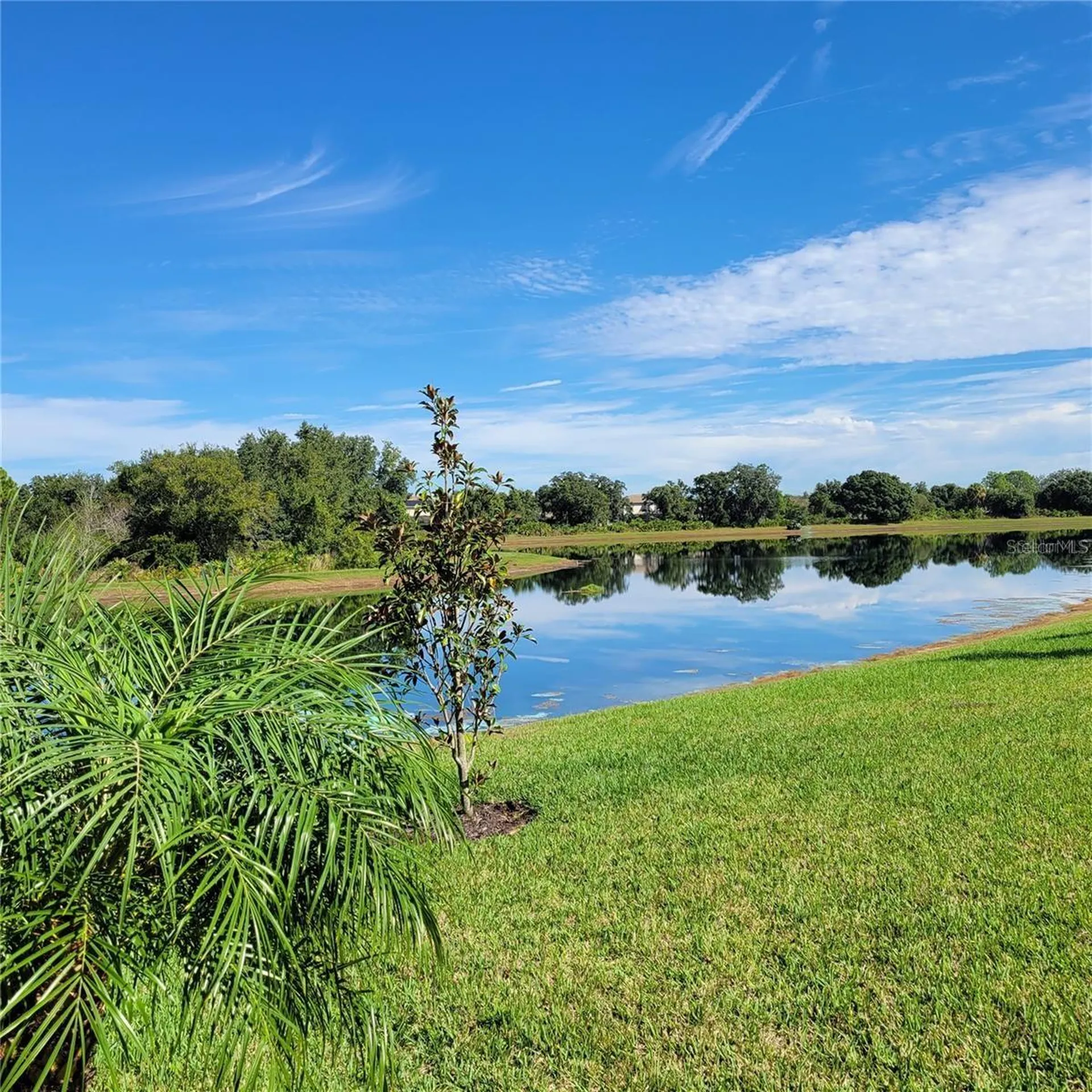 17335 Blue Ridge Place Bradenton FL 34211
