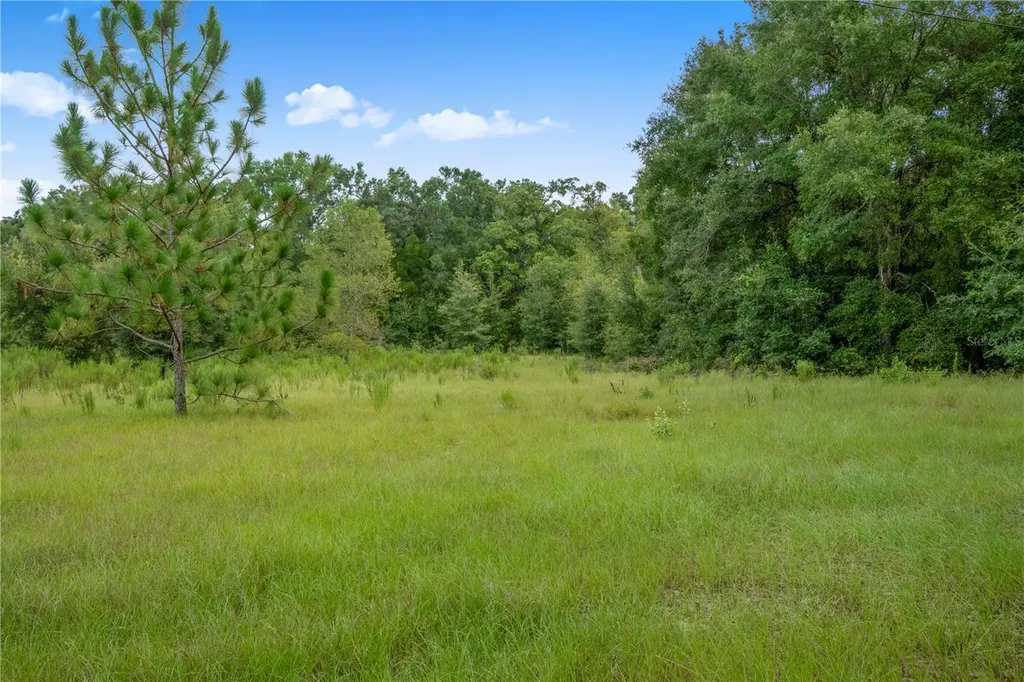 3749 V SW 22nd Place Bell FL 32619