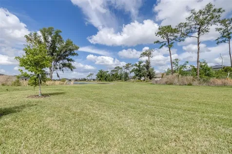 6131 Timberdale Avenue Wesley Chapel FL 33545