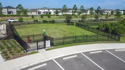 6131 Timberdale Avenue Wesley Chapel FL 33545