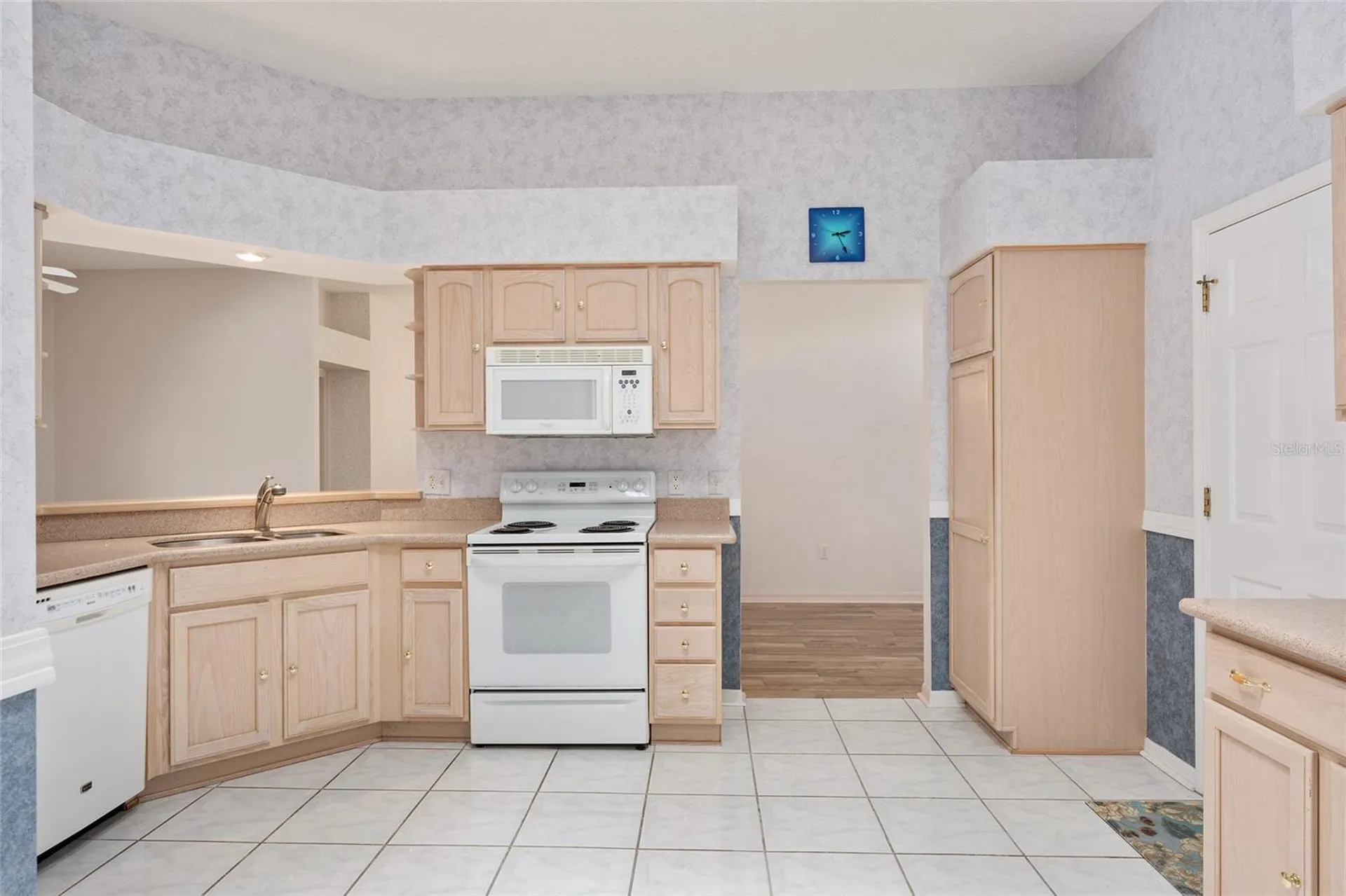 170 Palermo Place The Villages FL 32159