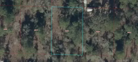 0930201700 NE 16th Lane Williston FL 32696